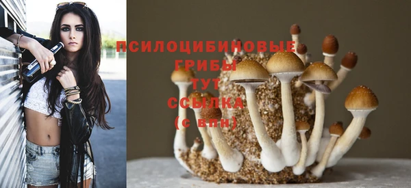 тгк Володарск