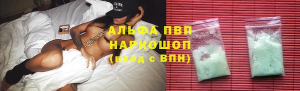 тгк Володарск