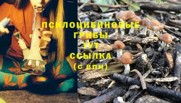 дживик Верхнеуральск