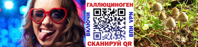 где можно купить наркотик  omg tor  Псилоцибиновые грибы мухоморы  Нефтеюганск 